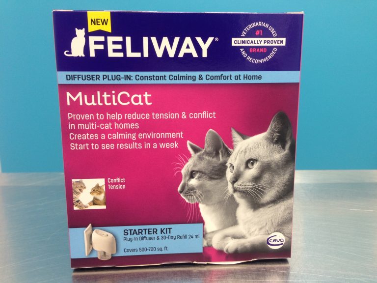 pheromone therapy for cats Archives Dr. Stephanie Globerman Paws